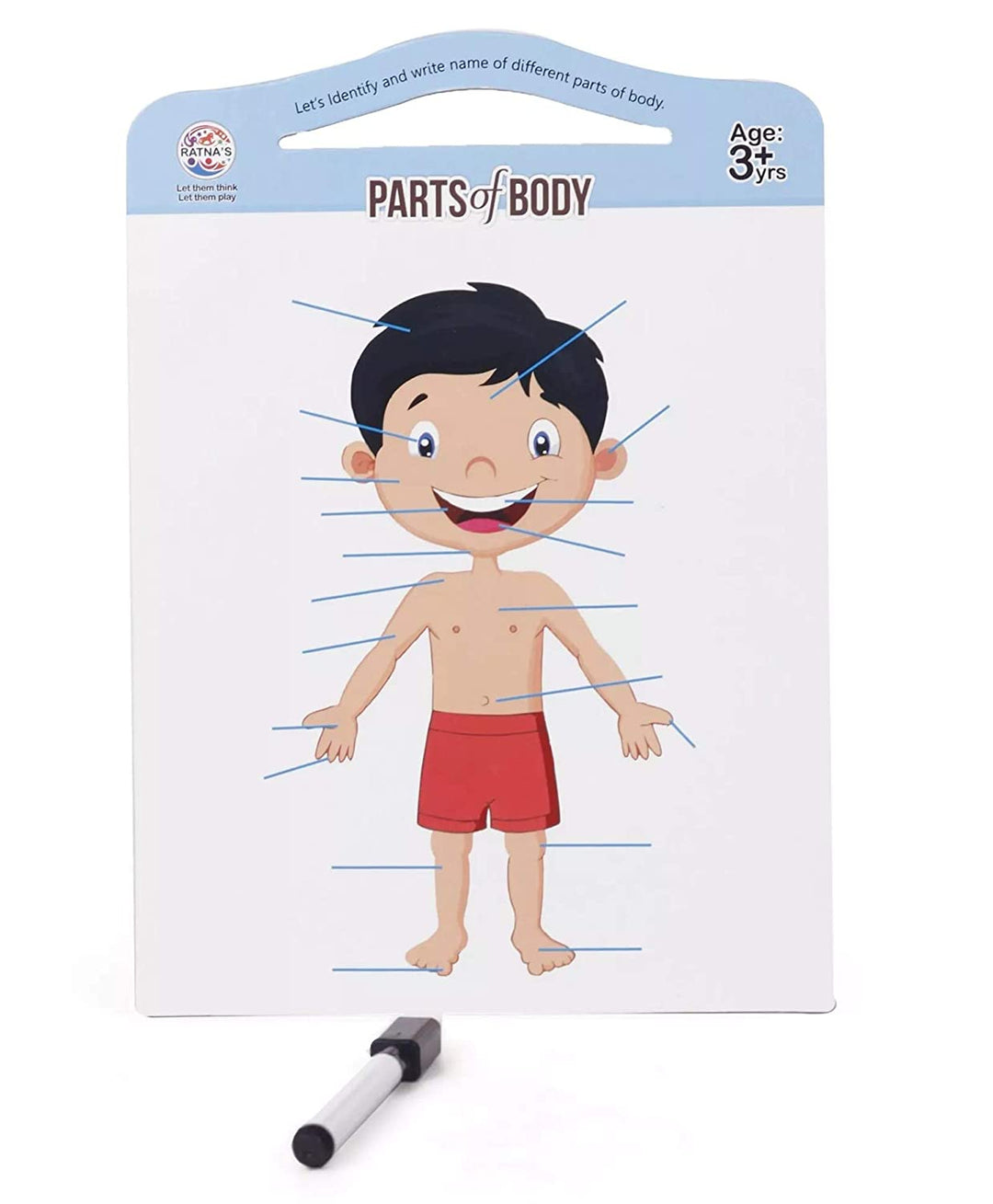 RATNA'S Parts of Body Jigsaw Puzzle for Kids with 2 in 1 Write and Wipe Board with Body Parts 24 Pieces