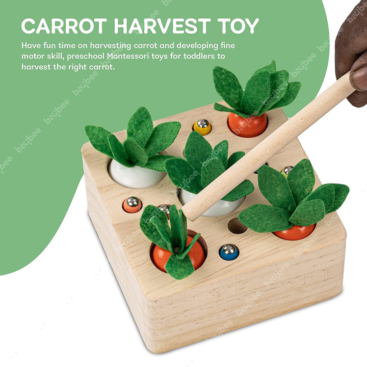 Wooden Farm Catching Insects Sorting Kids Toys, Shape Sorting Toys with Vegetables, Insects & Magnetic Stick, Early Learning Educational Baby Toys Puzzle for Kids 3+ Years Boys & Girls
