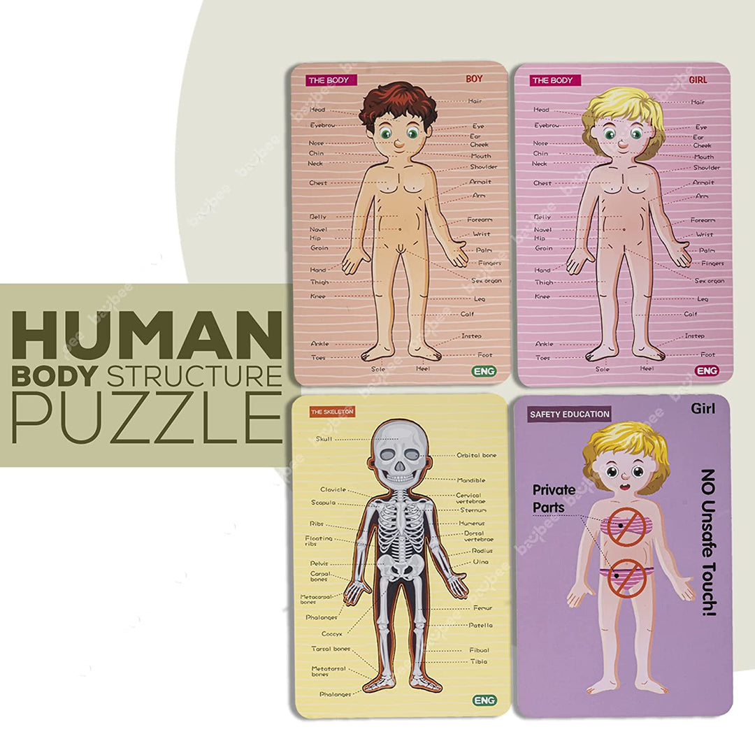 Wooden Human Body Parts Structure Jigsaw Puzzle Set for Kids Toys | Parts of Body Organs Muscles Safety Education Puzzle Cards | Early Learning Human Body Structure Puzzle for Kids 6+Years