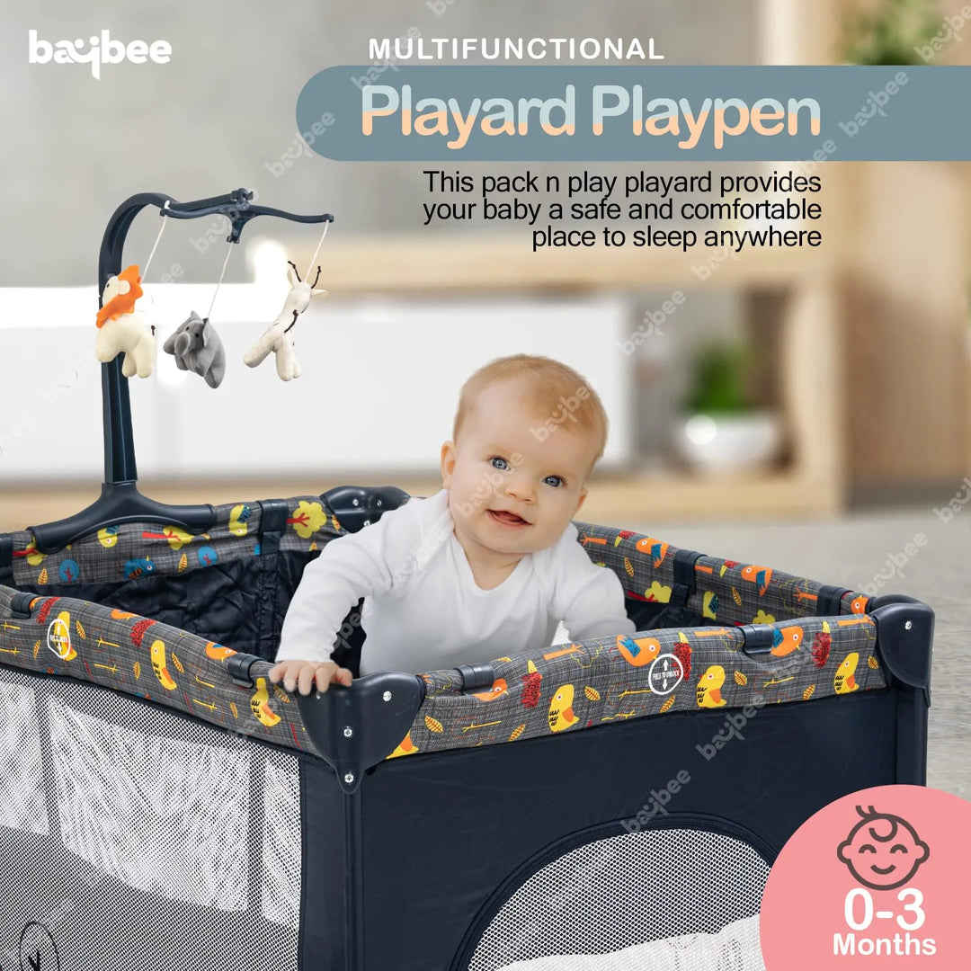 Portable Playard Pack And Play Recommended Ages Pack N Play Baby